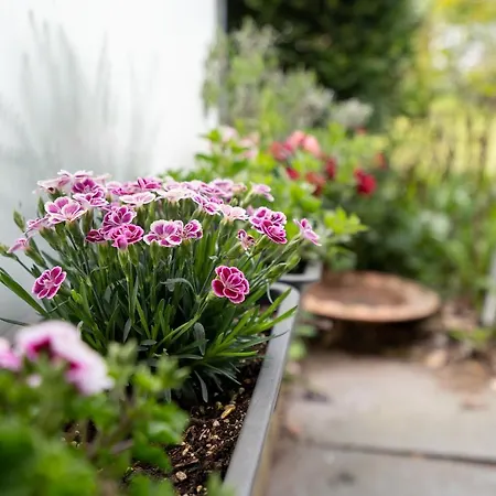 Mei2b Grimm Apartmán Niendorf (Timmendorfer Strand)